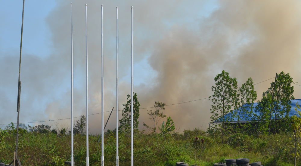 Kebakaran lahan yg terjadi di desa sangatta selatan
