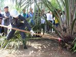 Keberadaan Perkebunan Sawit, Meningkatkan Perekonomian Masyarakat