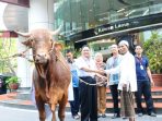 Kawan Lama Foundation Bagikan Hewan Qurban