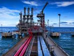 Jangan Paksa Indonesia Kembangkan Proyek LNG Terapung