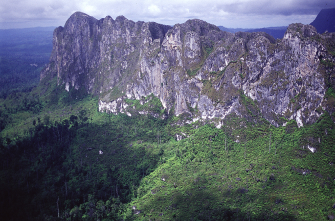 Gubernur Kaltim Nyatakan Menolak Pembangunan Pabrik Semen Di Gunung Karst Sekerat