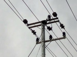 Ini Penyebab Padamnya Listrik PLN Sekitar 5 Jam Lebih di Wilayah Sangatta