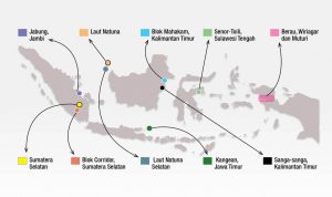 Blok Mahakam Penyumbang Gas Terbesar Untuk Indonesia