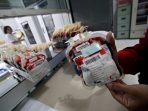 PMI Kutim Minim Stok Darah Golongan A dan O