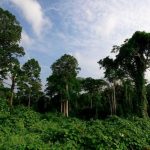 Pengadaan Tanah Bagi Pembangunan Untuk Kepentingan Umum Dari KBK Segera Dilakukan