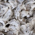 Permintaan Sarang Burung Walut Asal Kutim Terus Meningkat
