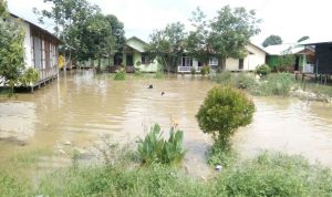 Diguyur Hujan Dua Hari Lalu! Pemukiman Warga di Sangatta Kebanjiran