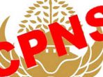 200 Ribu ASN Pensiun, Pemerintah Akan Buka Lowongan CPNS di 2018