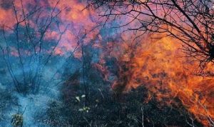 BMKG Temukan Empat Belas Titik Panas di Kalimantan
