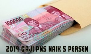 Tahun 2019, Gaji PNS Naik 5 Persen, Ini Rincihannya