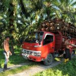 Jam Kerja Tidak Sesuai, Karyawan Sawit Mengadu Ke Anggota DPRD Kutim