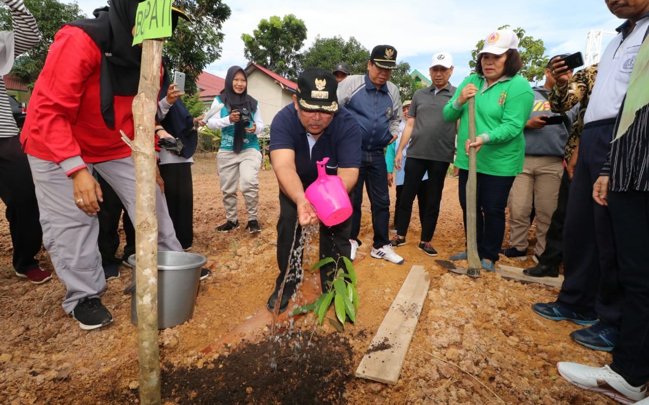 Tanam Pohon Bisa Jadi Syarat Menikah