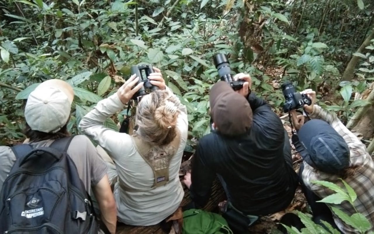 Borneo Adalah Kita! Namun Lebih Dikenal Malaysia Bukan Indonesia Untuk Wisata