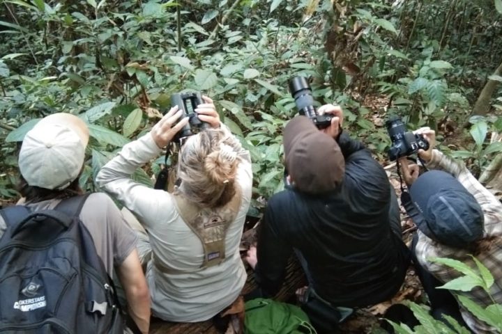 Borneo Adalah Kita! Namun Lebih Dikenal Malaysia Bukan Indonesia Untuk Wisata