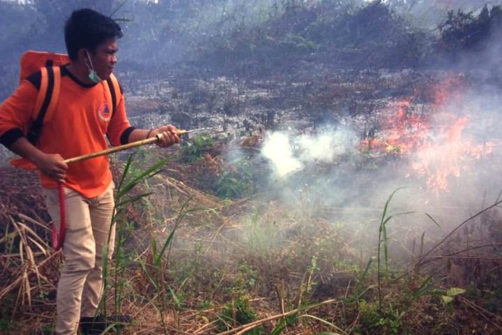 Penanganan Karhutla! Terkini Muncul Titik Api di Bengalon