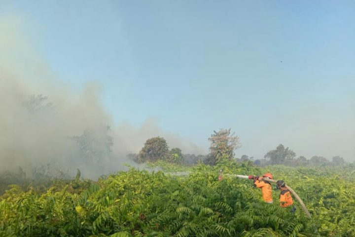 Kebakaran Lahan Masih Saja Terjadi di Sangatta Selatan