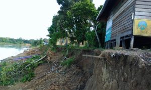 Tanah di Pinggiran Sungai Kelinjau Rawan Longsor