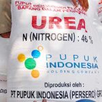 Kuota Pupuk Bersubsidi Kurang, BUMDes Belum Ada Yang Kelola