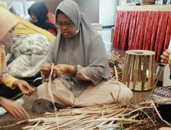 Pelatihan Pengerajin Rotan Plus Pengembangan UMKM