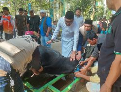 Wabup Kasmdi Bulang Tinjau Sapi Qurban di Mesjid Agung Al Faruq