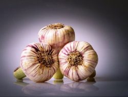 Mengenal Golden Garlic dan Manfaatnya untuk Kesehatan, Sering Dianggap tidak Layak Konsumsi