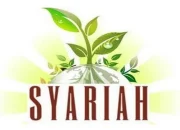 Sandbox Syariah: Inovasi Keuangan Islam dalam Era Digital