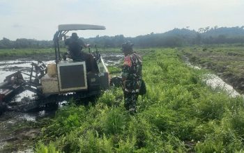 Kodim 0909/Kutim Genjot Cetak Sawah Rakyat, Perkuat Ketahanan Pangan di Tengah Ancaman Krisis Energi