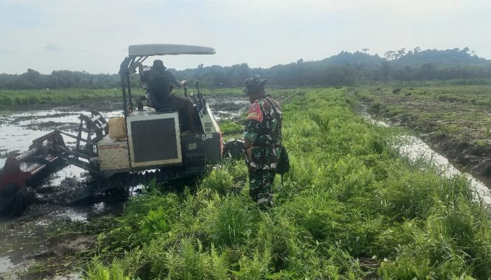 Kodim 0909/Kutim Genjot Cetak Sawah Rakyat, Perkuat Ketahanan Pangan di Tengah Ancaman Krisis Energi
